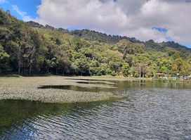 Selva Negra Ecolodge