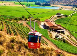 Ruta del Vino - Vinos y Tours
