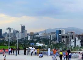 OLI Tower | ኦሊ ታወር, MOFA Ethiooia