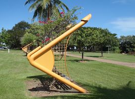 The Darwin History and Wartime Experience