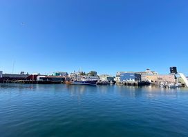 7 Seas Whale Watch