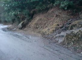 Foot step to Auli