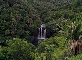 Big Foot Adventure