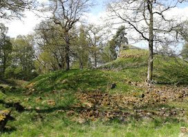 Svaneholms borgruin, Östergötland