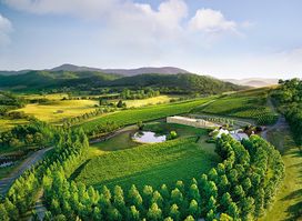 TarraWarra Yarra Valley Winery, Restaurant & Cellar Door