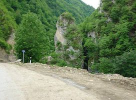 Minarya