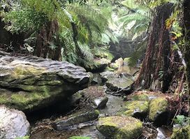Marakoopa Cave