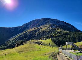 Almreserlhaus
