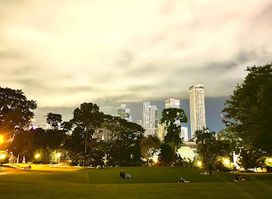 Fort Canning Green