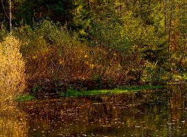 Silbersee