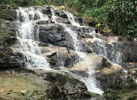 Doi Suthep Hiking Trail (Wat Pha Lat)