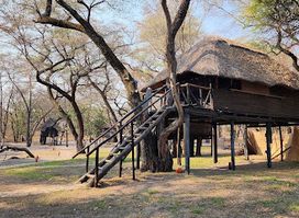 Sikumi Tree Lodge