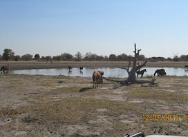Nwetwe Pan