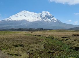 Reserva Ecologica Antisana