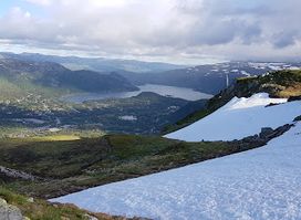 Hartevassnuten
