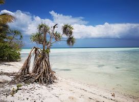 Tomea Island
