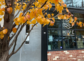 Hive