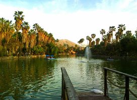 Parque Morelos