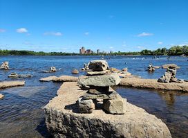 Remic Rapids Park