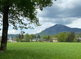 Schloss Frohnburg