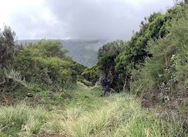 Gura Falls