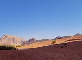 Wadi rum bedouin campsite & tours
