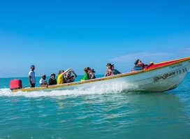 Treasure Beach Tourist Information
