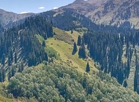 Kimasar Pass