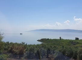 תל כנרות