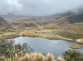 Amazing South American Tours