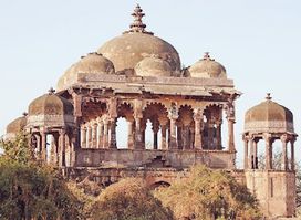 The Ranthambore Tiger