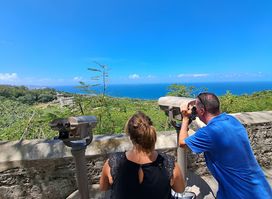 Stouteland Tours