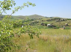 Էրեբունի արգելոց