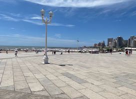 Playa Bristol 3