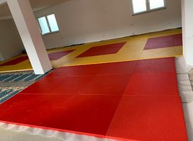 Grappling Kamenica