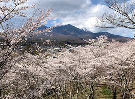 Site of Yato Castle