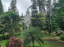 Pink Sisters' Convent and Chapel