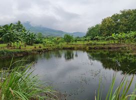Pha Khao Lao Garden