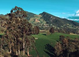 Altiplano cundiboyacense