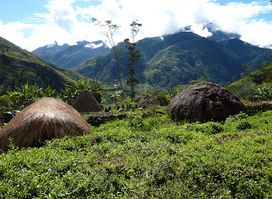 Baliem River