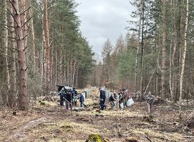 Ministerweg von Rochow bepflanzt mit der Göttiner Bürgerinitiative Naturnahe Ortsteile
