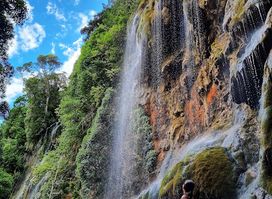 Whispering Falls