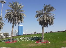 Smile You are in Sharjah