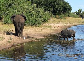 Chobe National Park