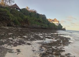Nyali Beach South Point