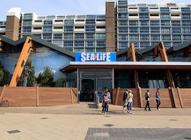 Sea Life Scheveningen