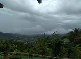 Piton Flore