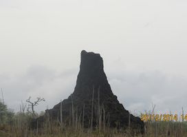 Mvuu Camp
