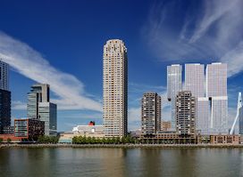 The Rotterdam