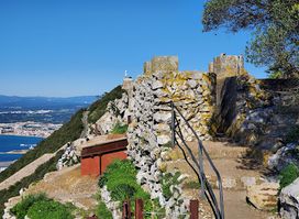 Douglas Lookout